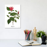 iCanvas "Magnolia" by Sophie 6 Canvas Print