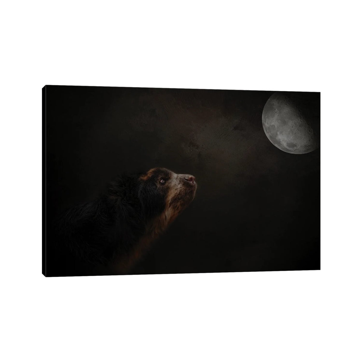 iCanvas "Moon Gazer" by Kelley Parker Canvas Print