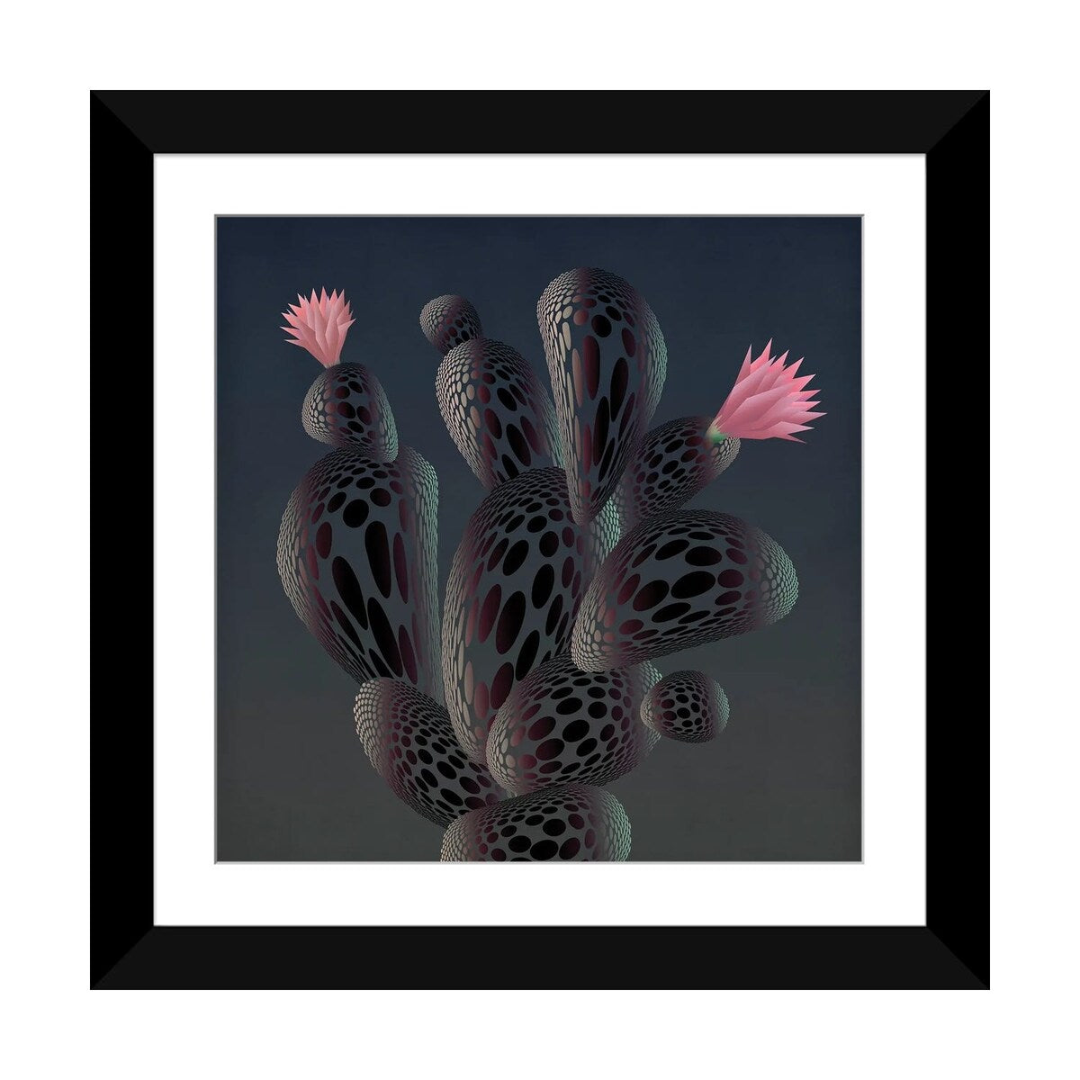 iCanvas "Moonlight Cactus" by Angelo Cerantola