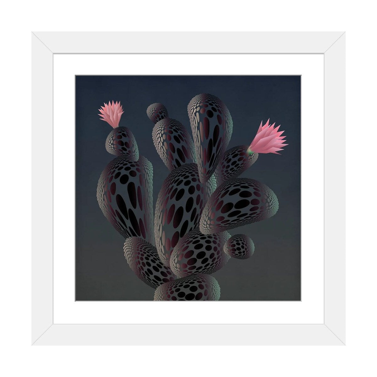 iCanvas "Moonlight Cactus" by Angelo Cerantola