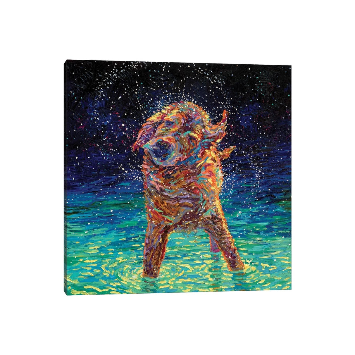 iCanvas "Moonlight Swim" by Iris Scott Canvas Print