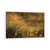 iCanvas "Morning Dew I" by Mateusz Piesiak Framed