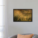 iCanvas "Morning Dew I" by Mateusz Piesiak Framed