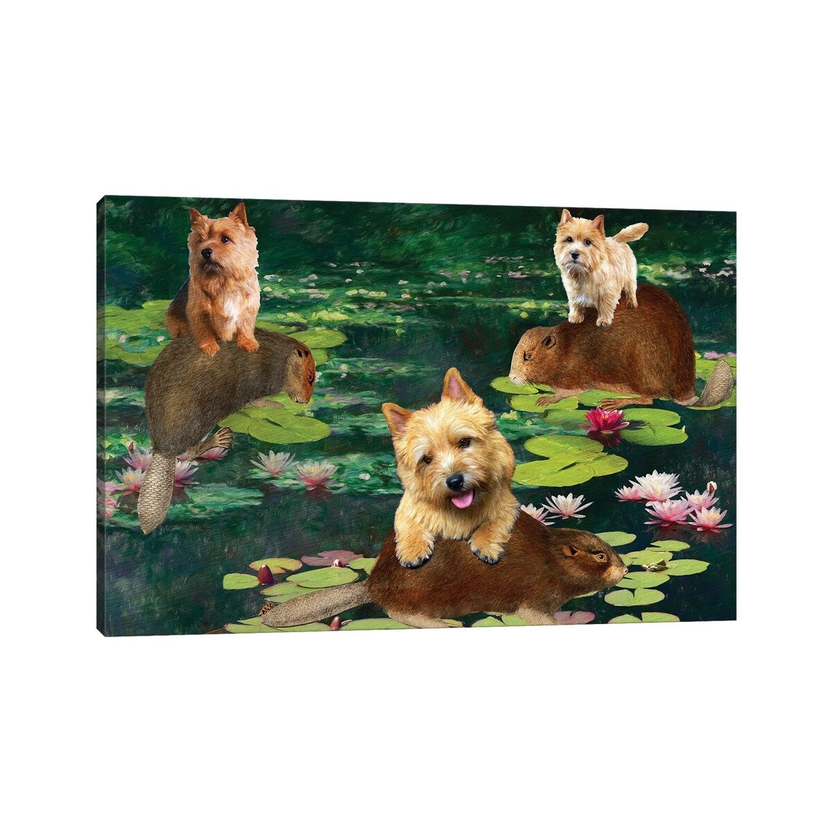 iCanvas "Norwich Terrier Claude Monet Waterlilies" by Nobility Dogs Canvas Print