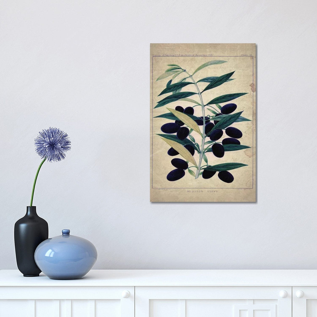 iCanvas "Olives" by Natasha Wescoat Canvas Print