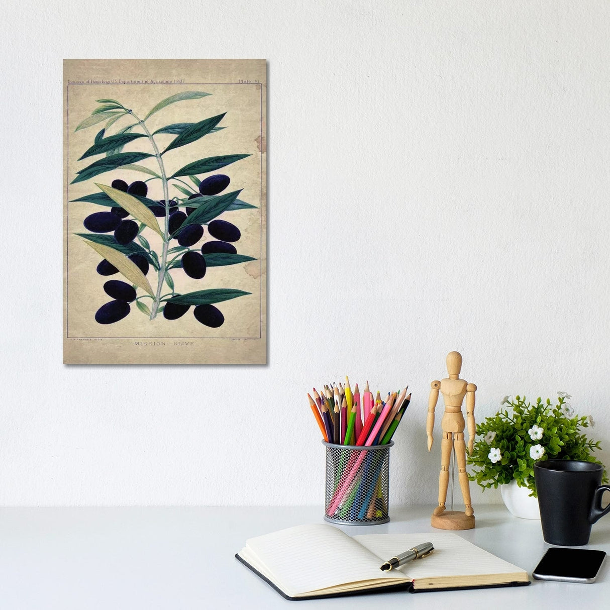 iCanvas "Olives" by Natasha Wescoat Canvas Print
