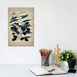 iCanvas "Olives" by Natasha Wescoat Canvas Print