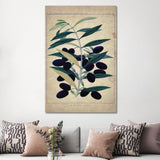 iCanvas "Olives" by Natasha Wescoat Canvas Print