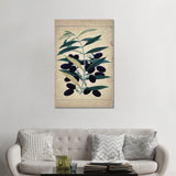iCanvas "Olives" by Natasha Wescoat Canvas Print