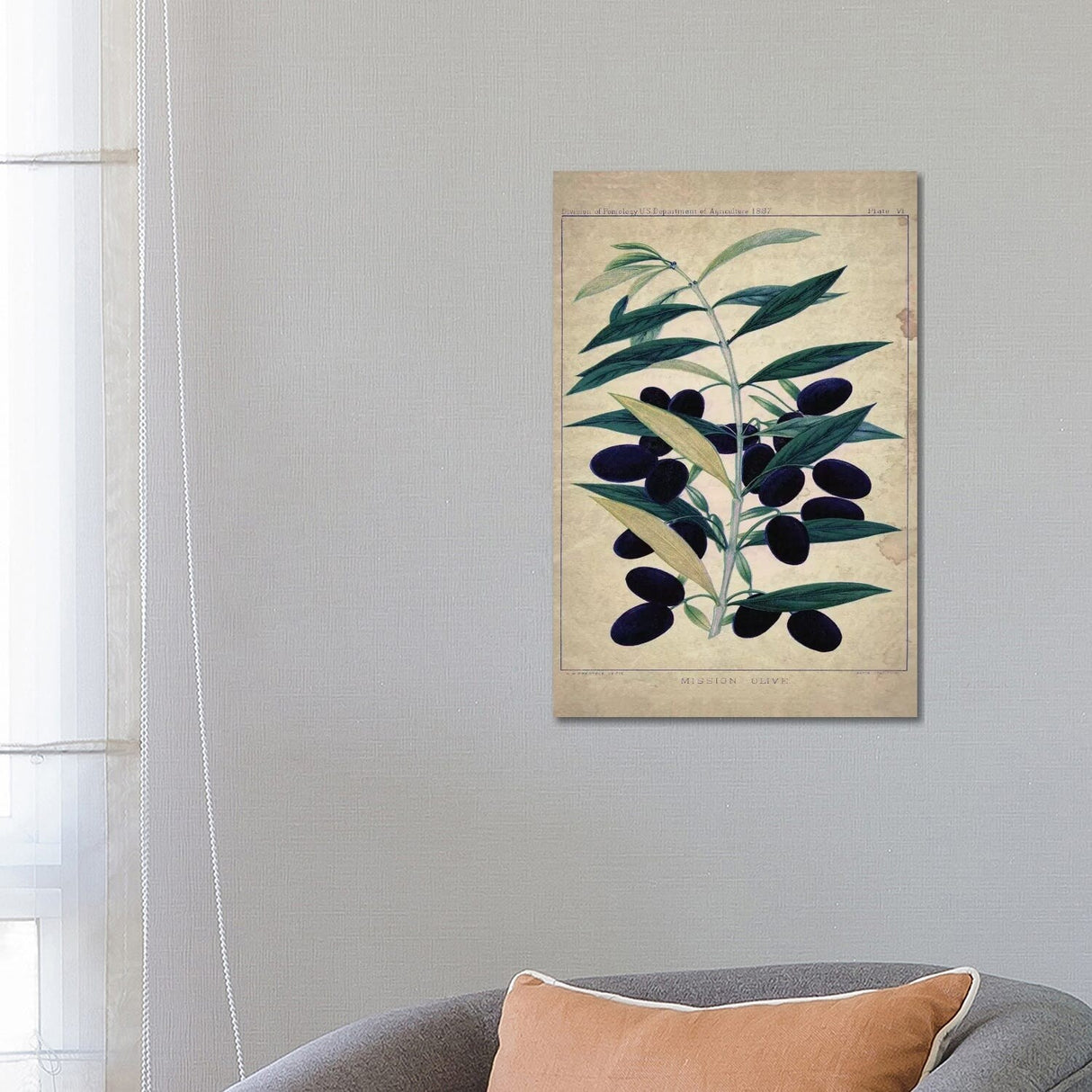 iCanvas "Olives" by Natasha Wescoat Canvas Print