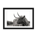 iCanvas "On The Ranch I No Tag" by Andre Eichman