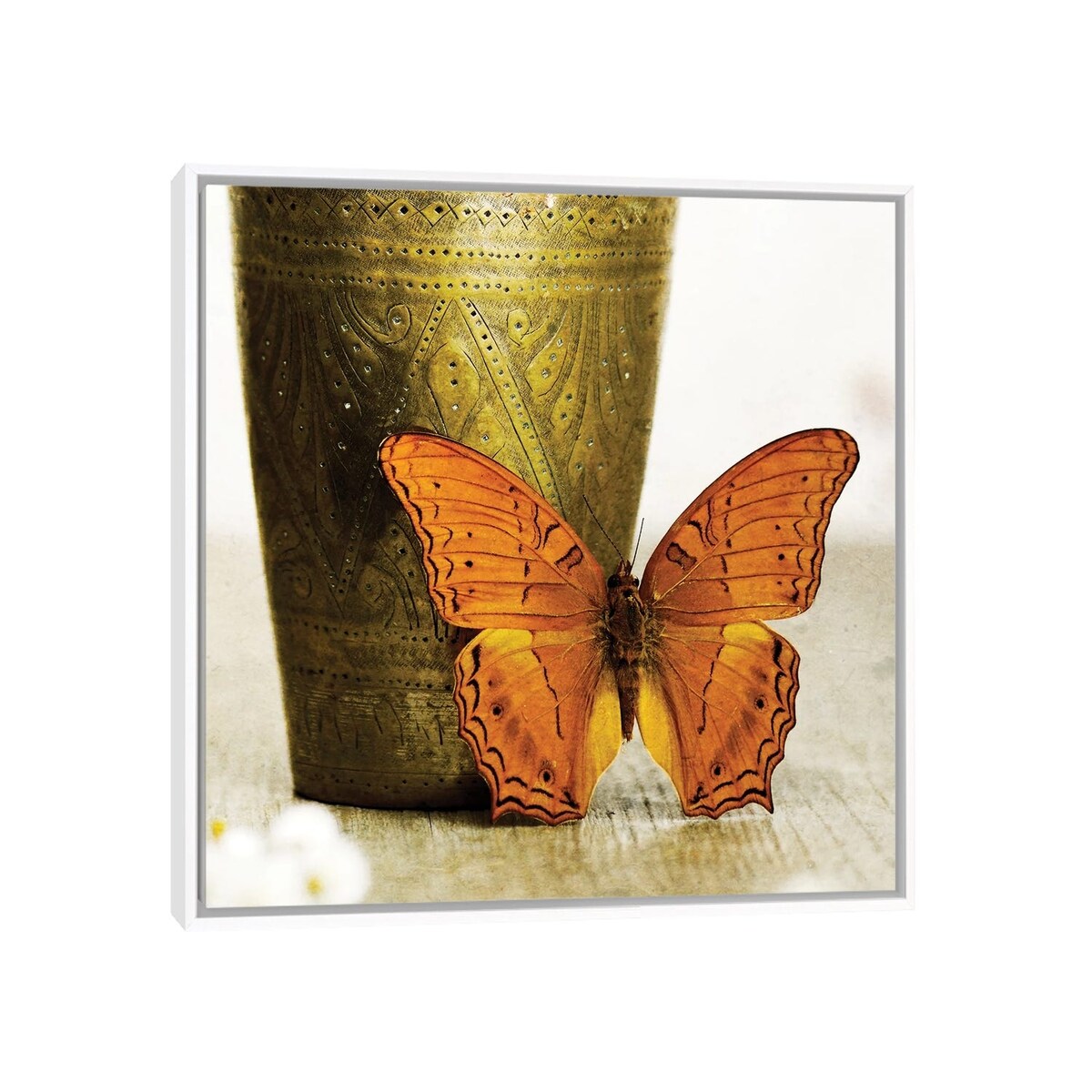 iCanvas "Orange Butterfly Against Copper Vase" by Tom Quartermaine Framed Canvas Print