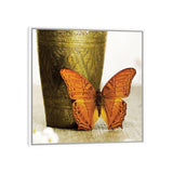 iCanvas "Orange Butterfly Against Copper Vase" by Tom Quartermaine Framed Canvas Print