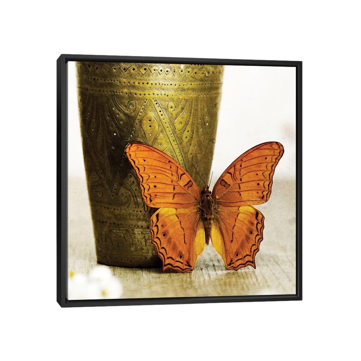 iCanvas "Orange Butterfly Against Copper Vase" by Tom Quartermaine Framed Canvas Print