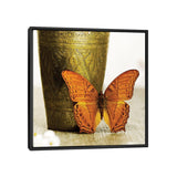 iCanvas "Orange Butterfly Against Copper Vase" by Tom Quartermaine Framed Canvas Print