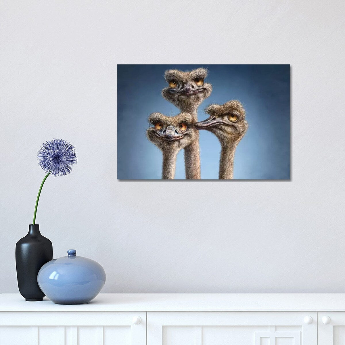 iCanvas "Ostrich Trio" by Patrick LaMontagne Canvas Print