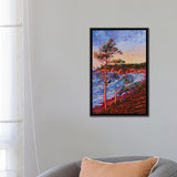 iCanvas "Overlooking Silverpoint" by Eryn Tehan Framed