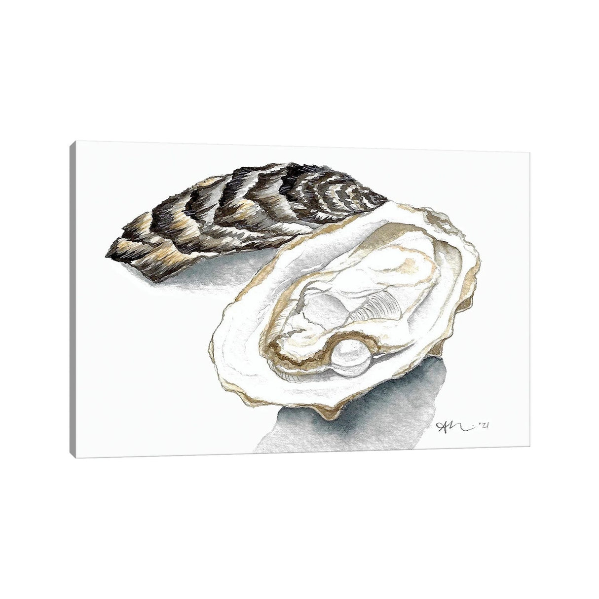 iCanvas "Oyster With Pearl" by Amy Richards Canvas Print