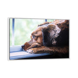 iCanvas "Patience" by Julian Wheat Framed