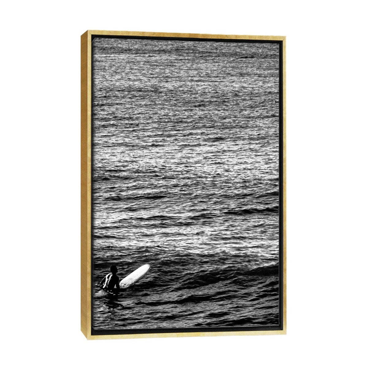 iCanvas "Patience" by Sean Marier Framed