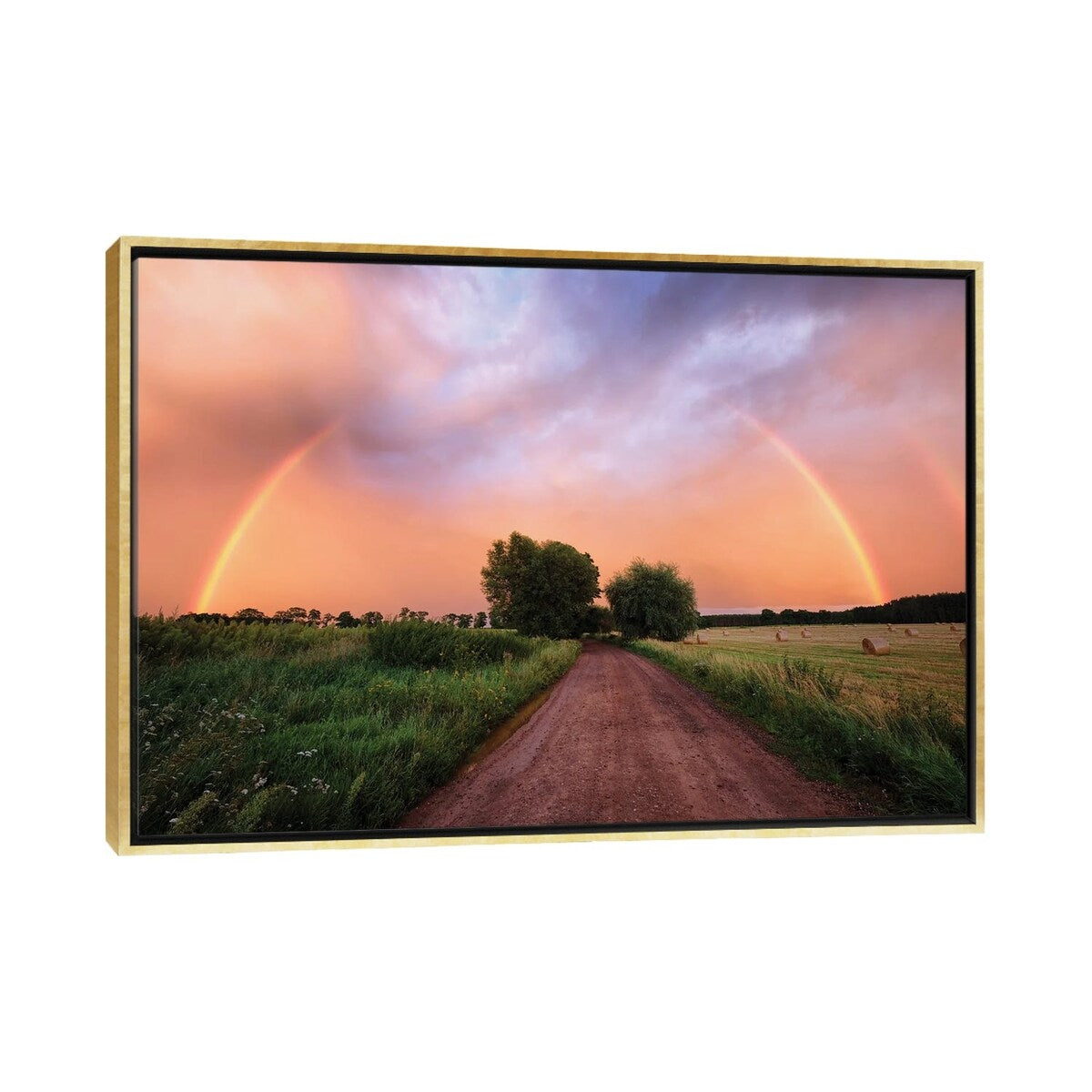 iCanvas "Rainbow" by Mateusz Piesiak Framed
