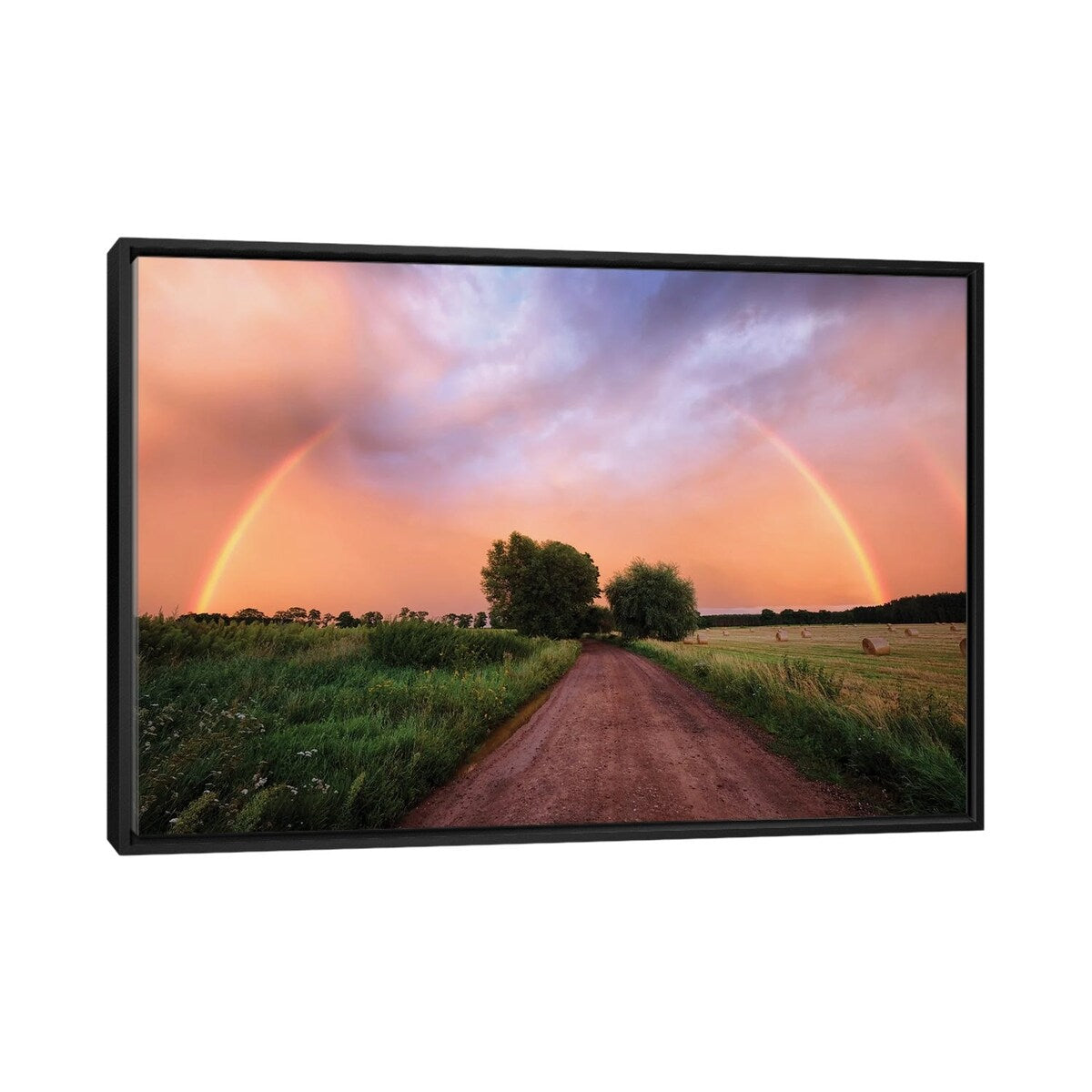 iCanvas "Rainbow" by Mateusz Piesiak Framed