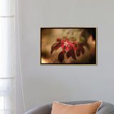 iCanvas "Red Florals And Texture" by Maria Overlay Framed