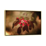iCanvas "Red Florals And Texture" by Maria Overlay Framed