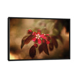 iCanvas "Red Florals And Texture" by Maria Overlay Framed