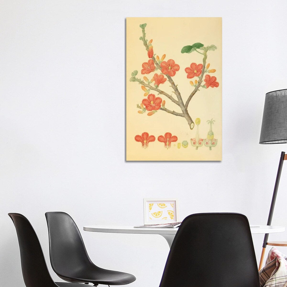 iCanvas "Red-Flowered Kurrajong" by Natural History Museum (UK) Canvas Print