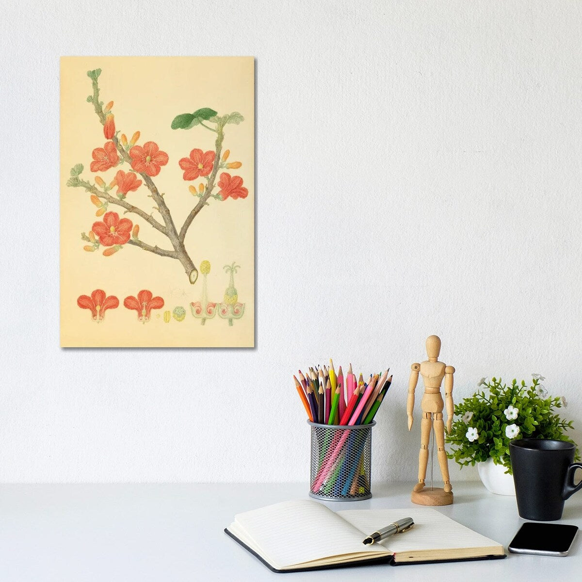 iCanvas "Red-Flowered Kurrajong" by Natural History Museum (UK) Canvas Print