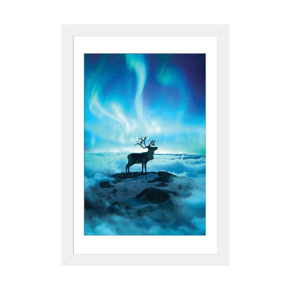iCanvas "Reindeer" by Diego Hernandez