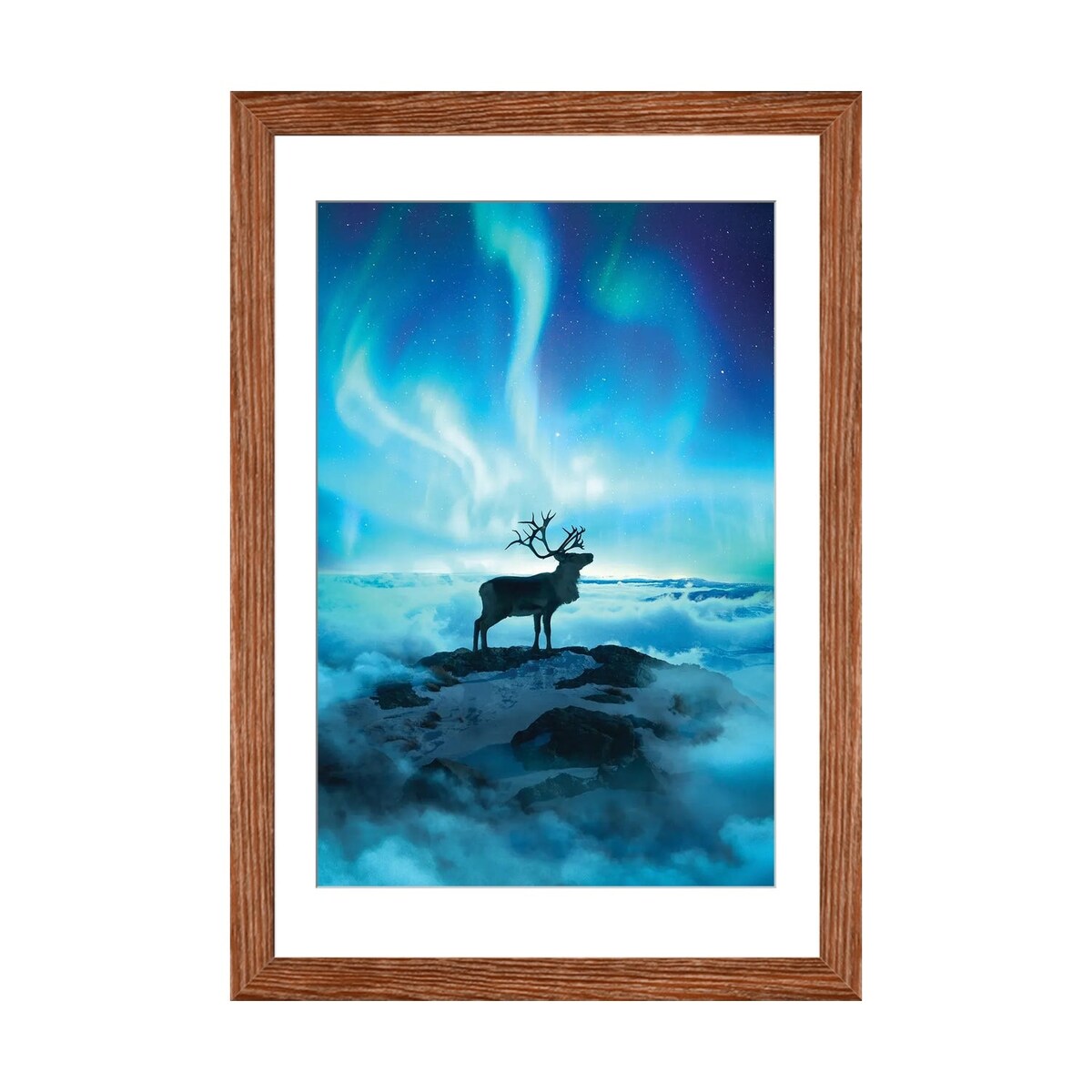iCanvas "Reindeer" by Diego Hernandez