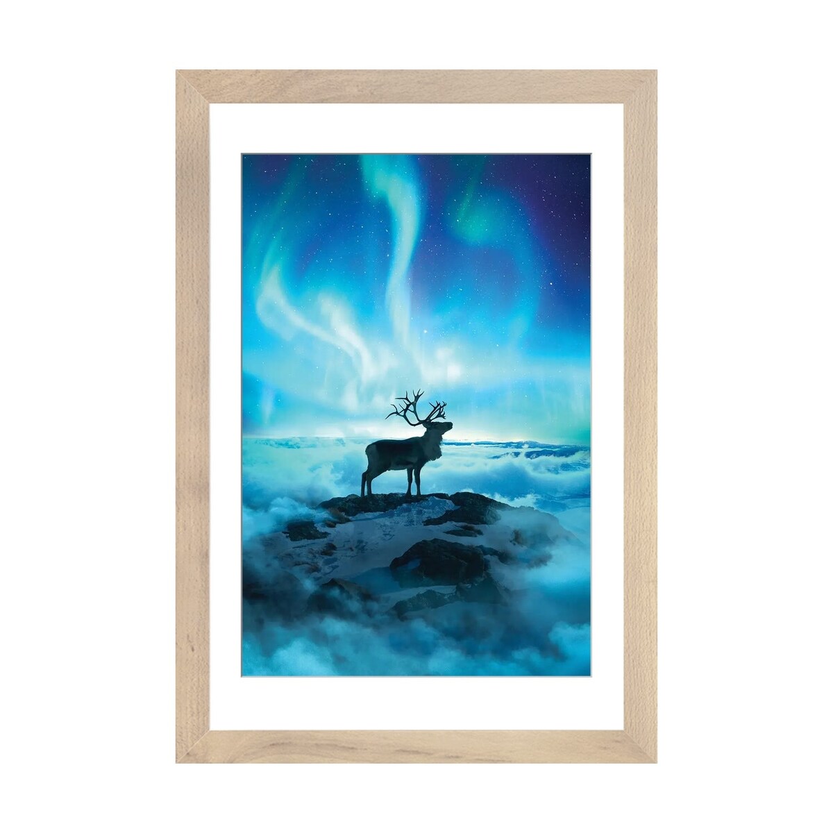 iCanvas "Reindeer" by Diego Hernandez