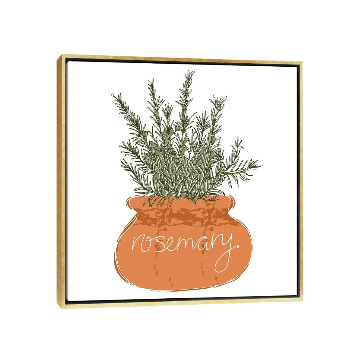 iCanvas "Rosemary" by Vicky Yorke Framed