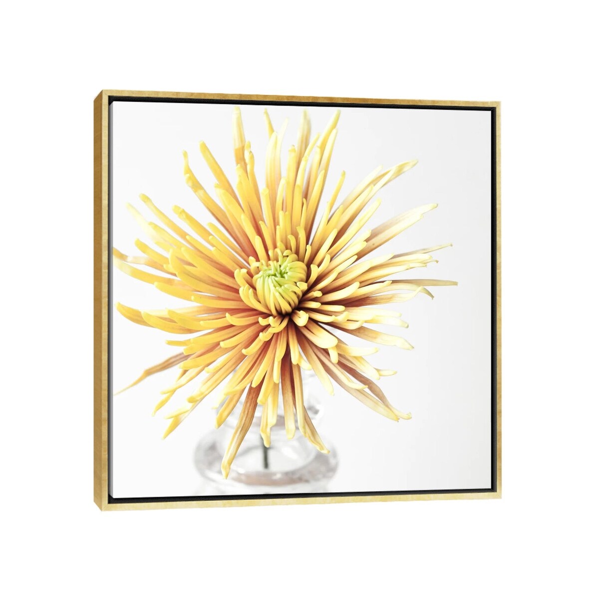 iCanvas "SYW 380 8657" by Symposium Design Framed Canvas Print