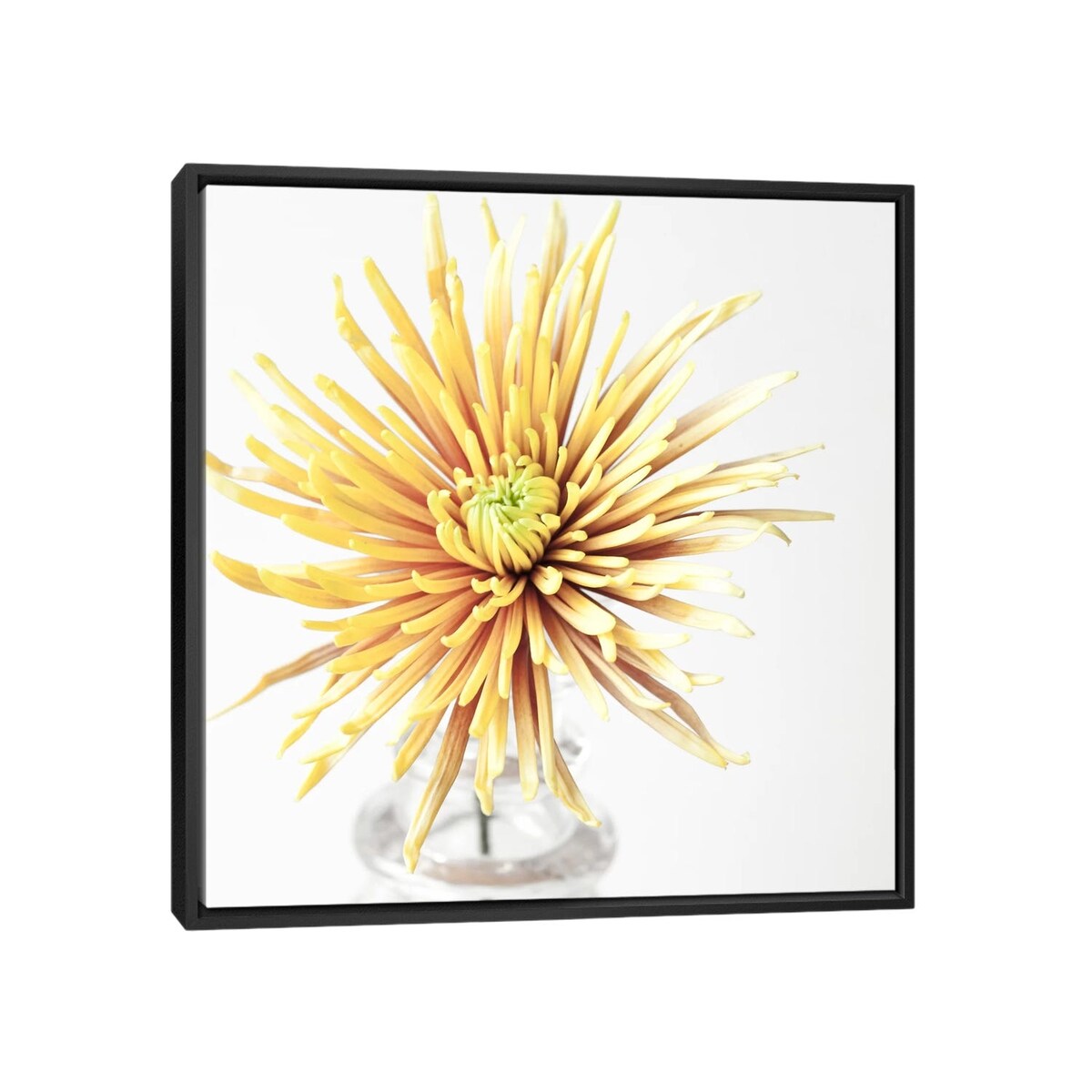 iCanvas "SYW 380 8657" by Symposium Design Framed Canvas Print