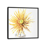 iCanvas "SYW 380 8657" by Symposium Design Framed Canvas Print