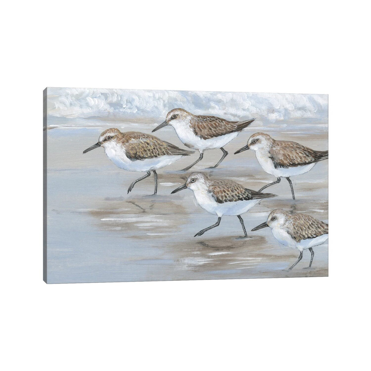 iCanvas "Sandpipers I" by Tim OToole Canvas Print
