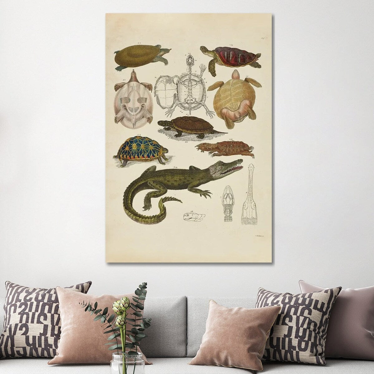 iCanvas "Schildkroten, Krokodile - Turtles, Crocodiles" by Natural History Museum (UK) Canvas Print