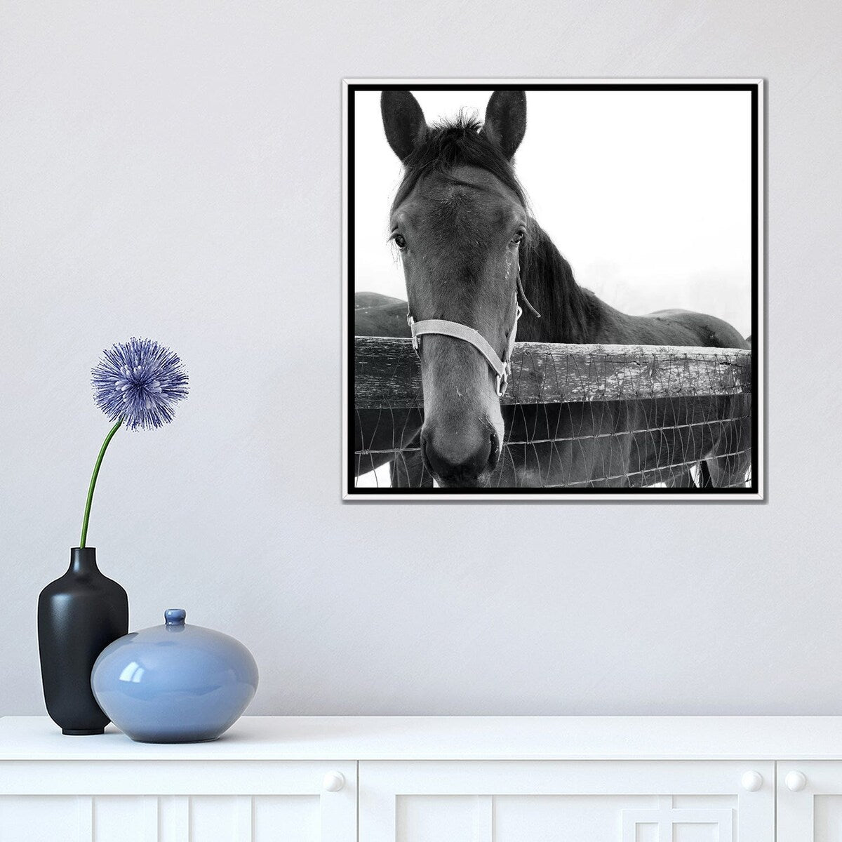 iCanvas "Solo" by Erin Clark Framed Canvas Print