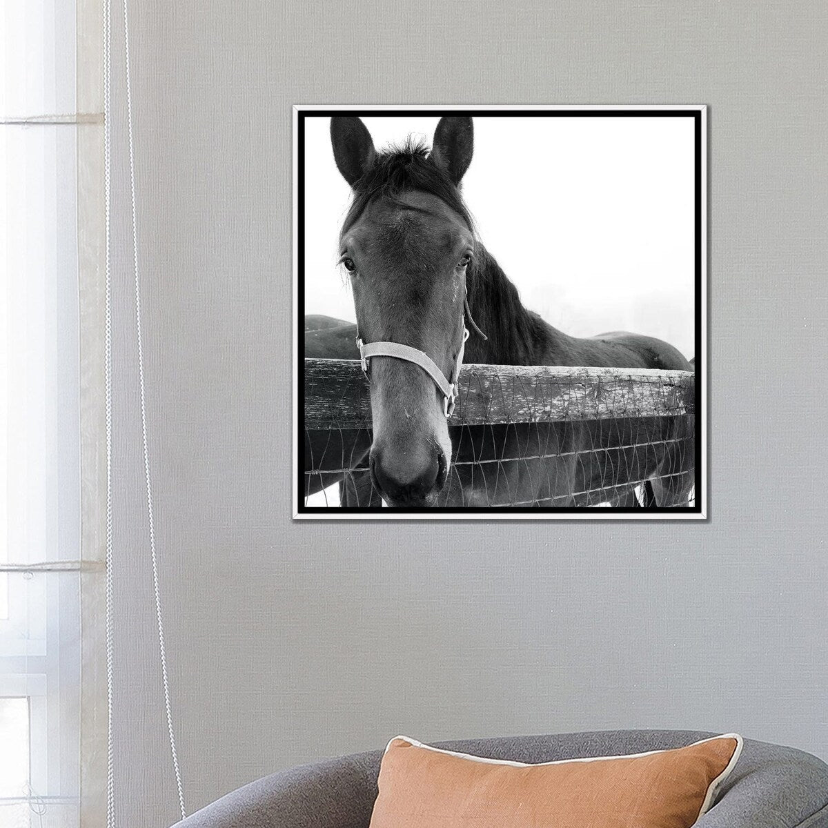 iCanvas "Solo" by Erin Clark Framed Canvas Print