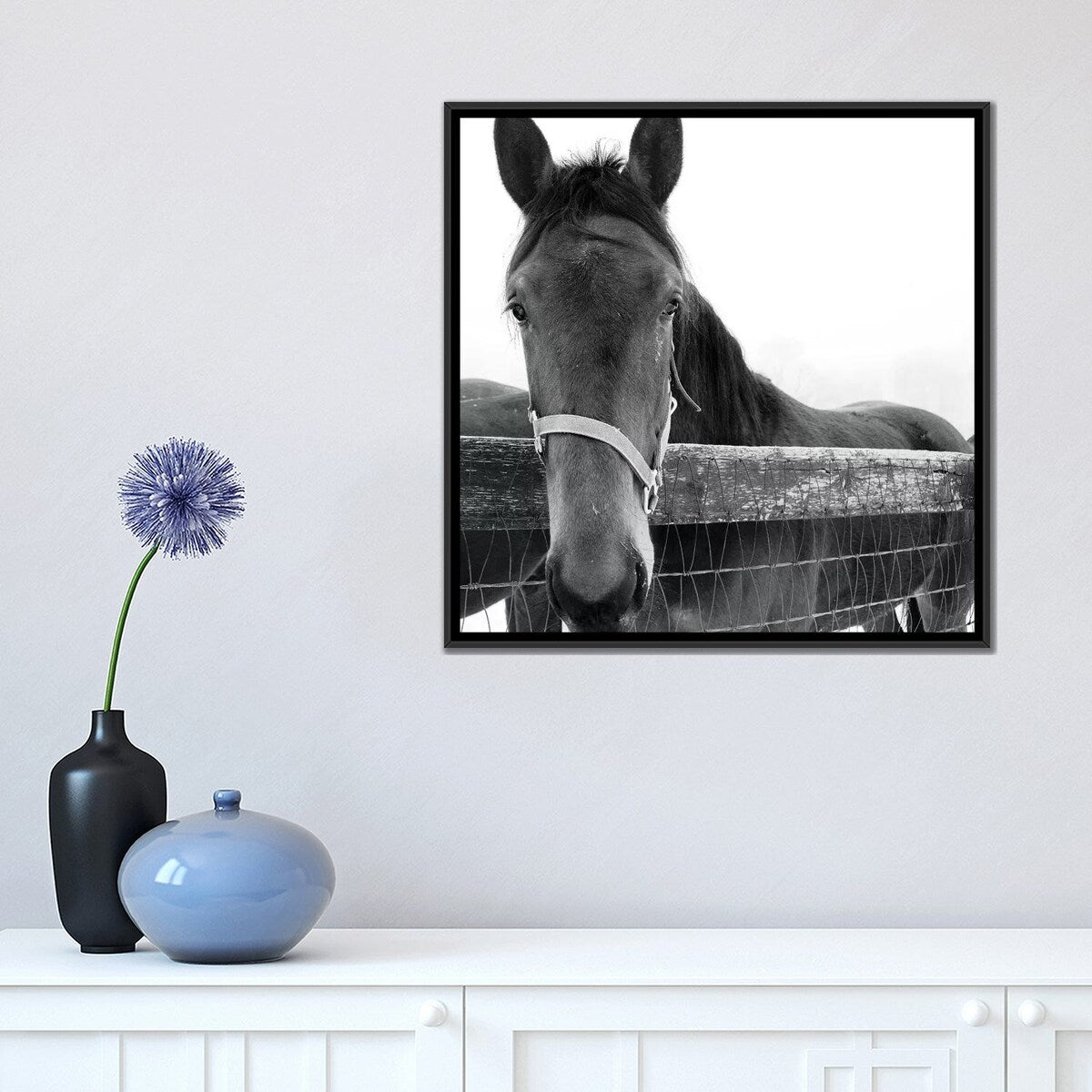 iCanvas "Solo" by Erin Clark Framed Canvas Print