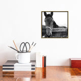 iCanvas "Solo" by Erin Clark Framed Canvas Print