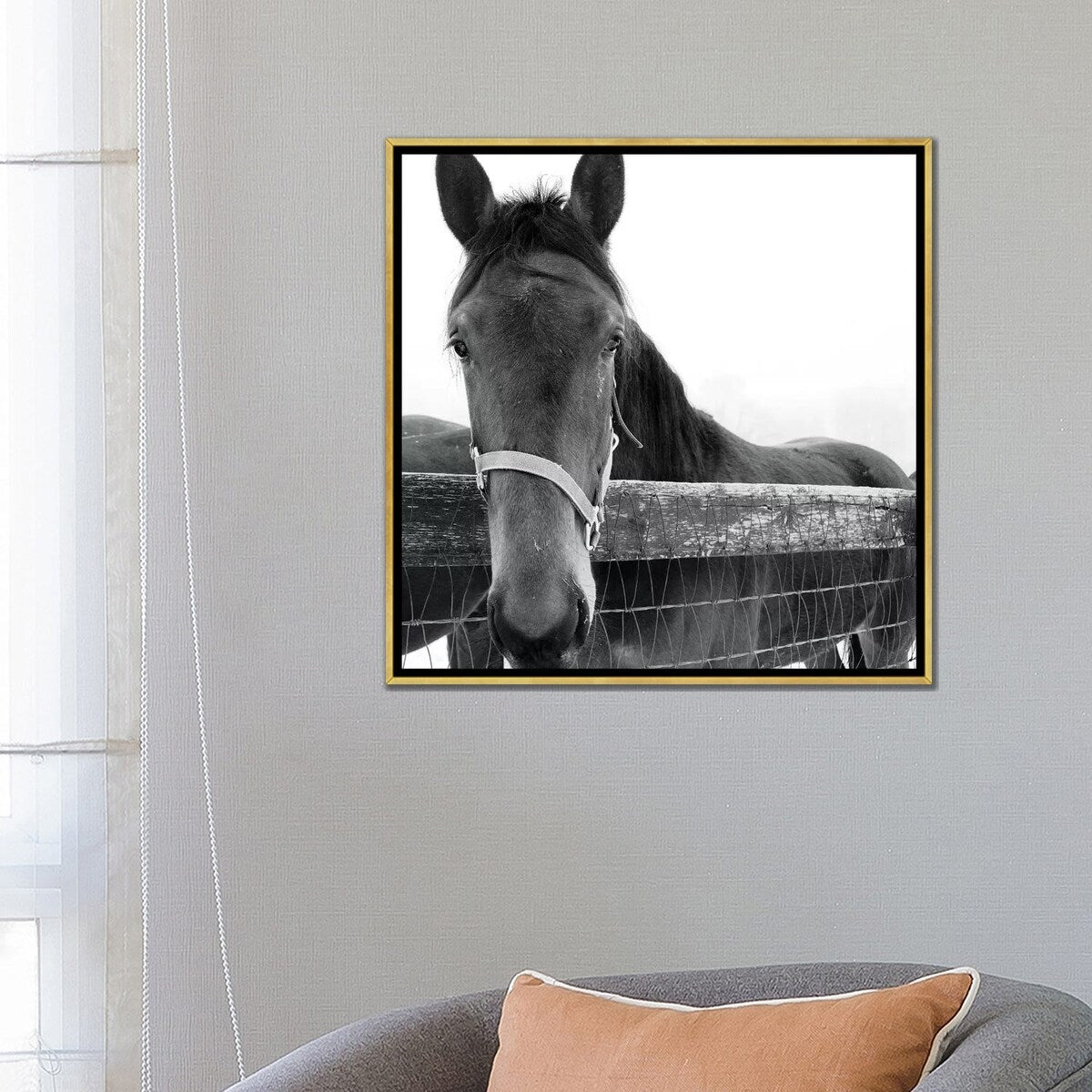 iCanvas "Solo" by Erin Clark Framed Canvas Print