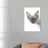 iCanvas "Sphynxcat With Orange Glasses" by Printable Lisa's Pets Canvas Print