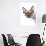 iCanvas "Sphynxcat With Orange Glasses" by Printable Lisa's Pets Canvas Print