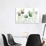 iCanvas "Succulent Bottles" by Cindy Jacobs Canvas Print