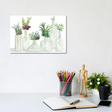 iCanvas "Succulent Bottles" by Cindy Jacobs Canvas Print