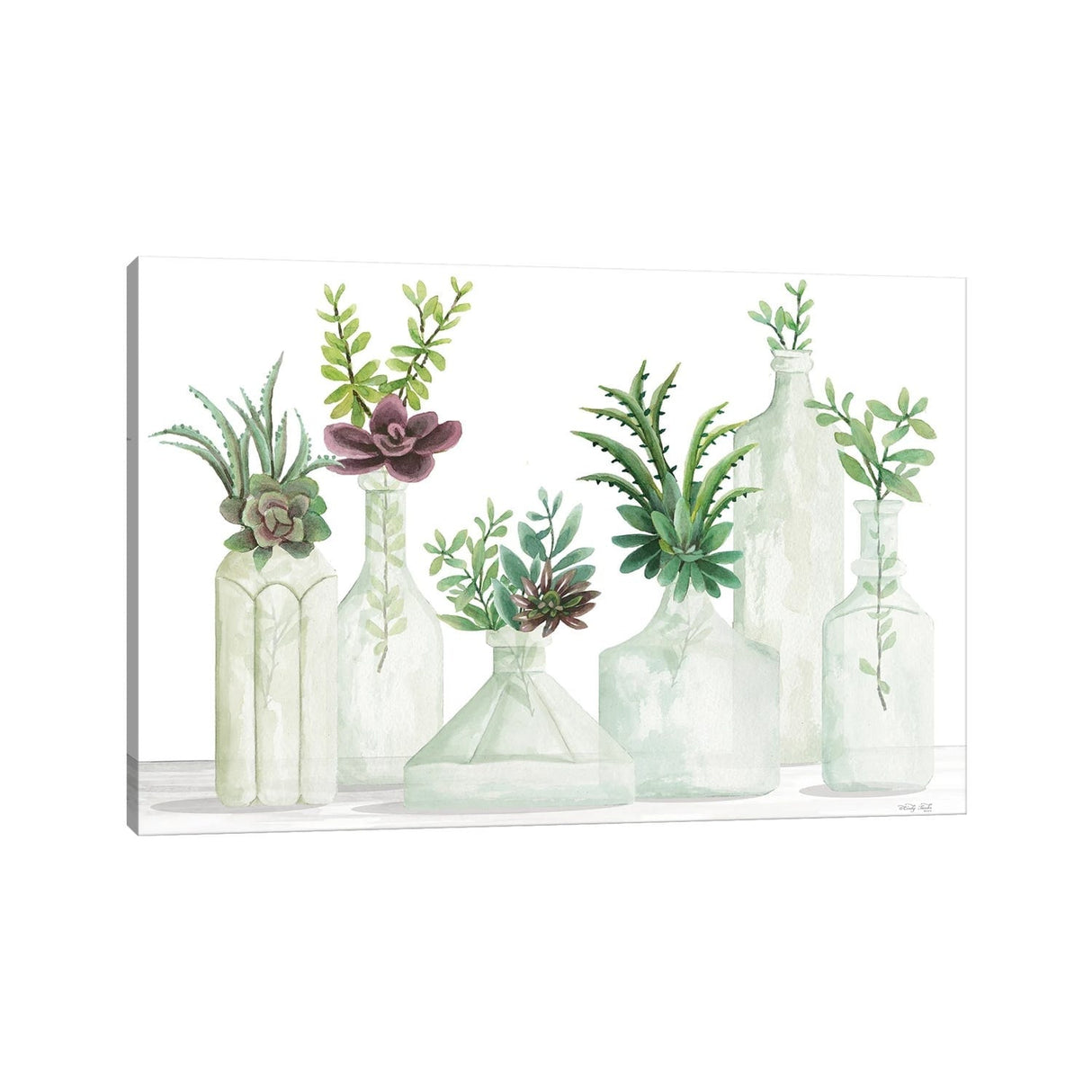 iCanvas "Succulent Bottles" by Cindy Jacobs Canvas Print